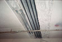 Pelicans Condominiums Repair